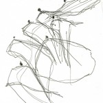 Dessin de Philippe Délis