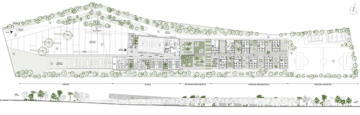 Plan RDC et façade sud, une linéarite séquencée © AIA associés. Architecte mandataire Taoufik El Oufir