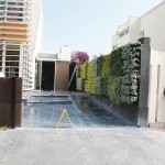 2. IMG_4863