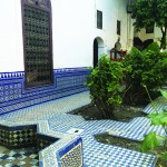IMG_1069