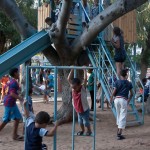 Jardin Al Qods _ cabane dans l'arbre _ Marie-Pier Boucher