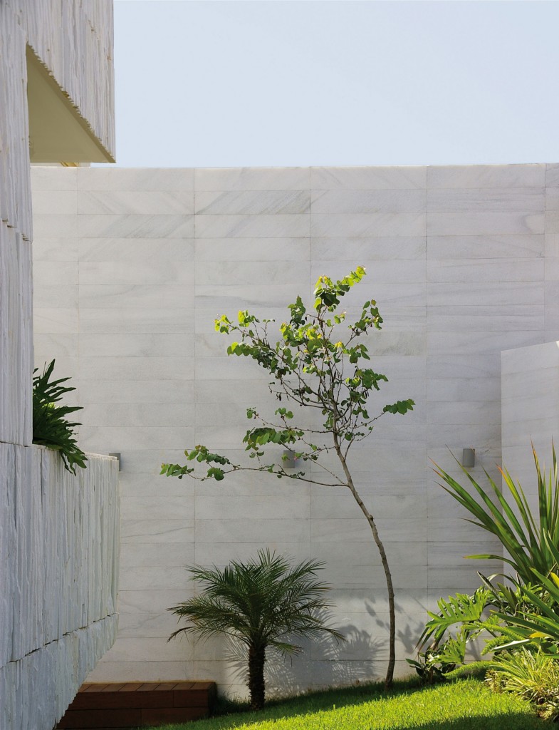 11-IMGP4513
