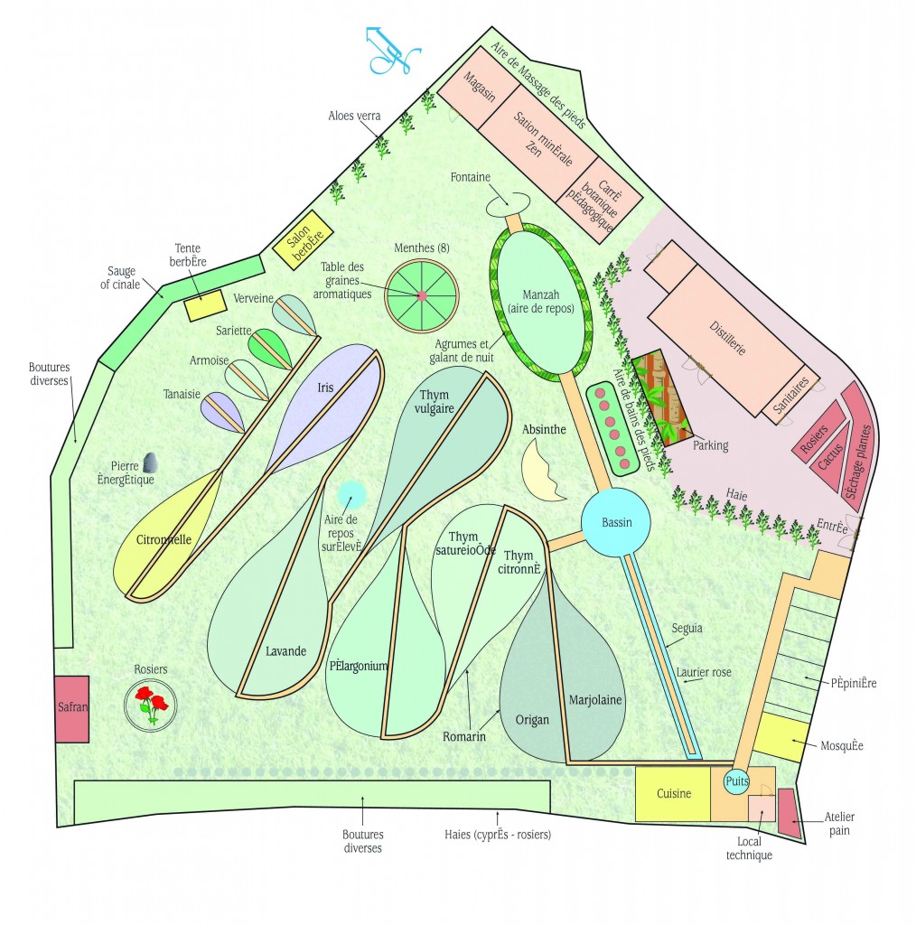 Plan jardin seul